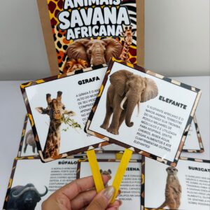 sacola savana africana